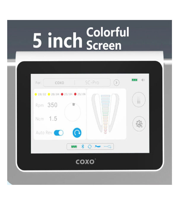 ฟัน C Master Coxos ฟันไฟฟ้ามอเตอร์กับ Endomotor ทั้งหมดในหนึ่ง Brushless ไฟฟ้า LED Micromotor Endodontics